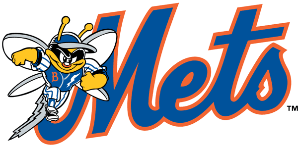 Binghamton Mets pres primary logo iron on transfers for clothing